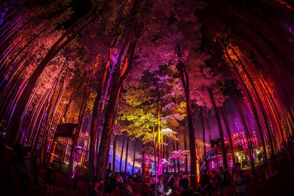 The Summer Festivals That Ravers Are Talking About